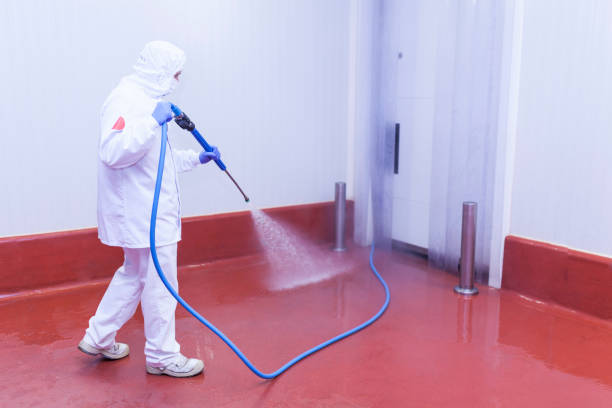 Best Paint Preparation  in Chino, CA